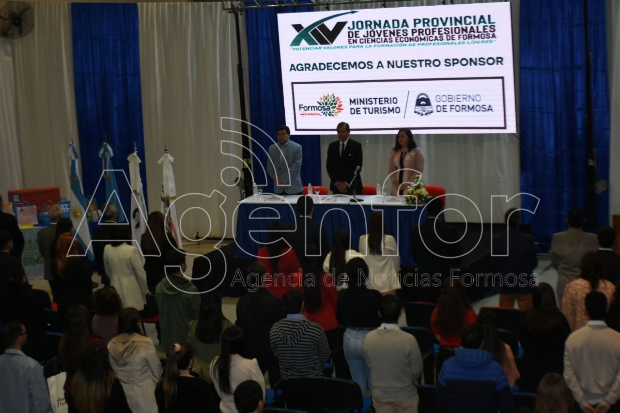 A Provincial Conference of Young Professionals in the Formosa Economic Sciences is held