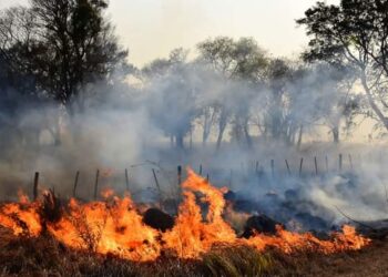 Ante un foco de incendio, recomiendan tomar ciertas medidas para prevenir su propagación