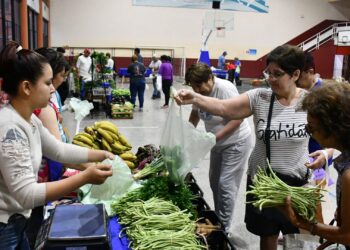 Gran concurrencia a las ferias francas del PAIPPA