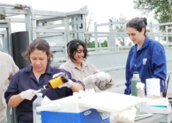 Veterinarios y estudiantes iniciaron pasantías y PPS en el CIT-Formosa