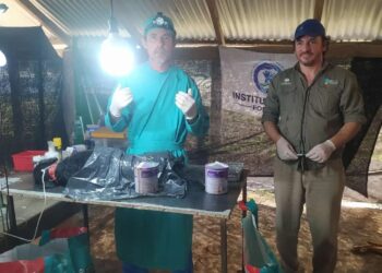 Producción y Ambiente realiza jornadas sanitarias para pequeños animales