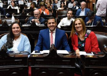 El oficialismo en Diputados logró más leyes que amplían derechos y fomentan el desarrollo