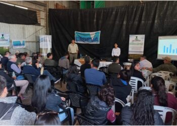 El CEDEVA de Las Lomitas expuso resultados de trabajos de validación en pasturas megatérmicas y manejo del ganado