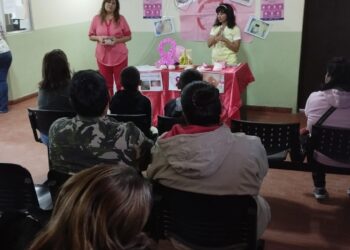 Formosa inició la campaña del mes de lucha contra el cáncer de mama