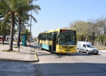 En la ciudad de Formosa, los colectivos urbanos serán gratuitos este domingo de elecciones