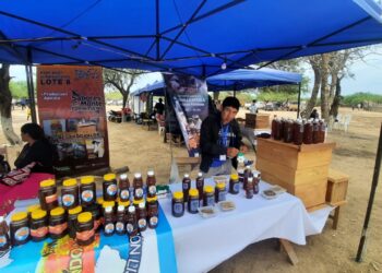 Destacan la producción apícola en el Departamento Ramón Lista