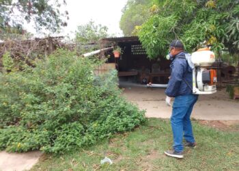 Dengue: Siguen las múltiples acciones de prevención y concientización en toda la provincia