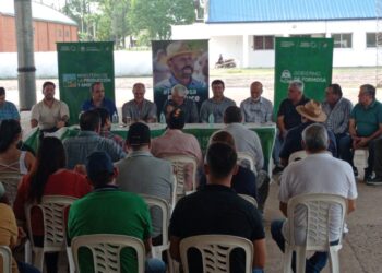Lanzaron la nueva campaña del cultivo de algodón ciclo 2023-2024