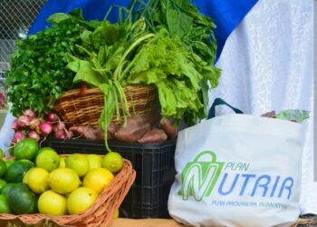 Destacan que los bolsones del Plan Nutrir ayudan a la economía familiar y a una alimentación saludable