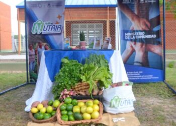 Los centros de distribución entregaron los bolsones del Plan Nutrir