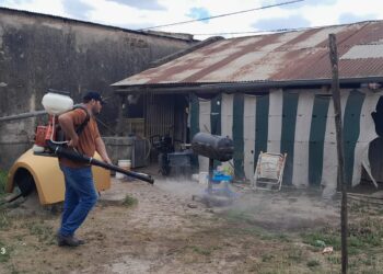 Por presencia de dengue en la provincia, recalcan importancia de cuidados preventivos