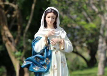 Salutación del gobernador Insfrán por el Día de la Inmaculada Concepción de María