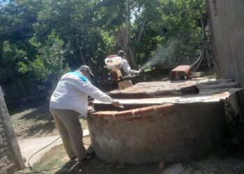 Alientan a la población a no bajar los brazos en la lucha contra el dengue