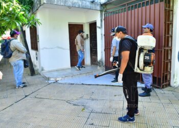 Formosa avanza en la estrategia de gestión integrada, en la lucha contra el dengue