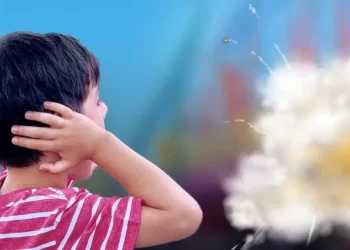 Con proximidad a la tradicional Fiesta de Año Nuevo recuerdan la importancia de NO usar pirotecnia