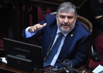 Mayans se refirió a la sesión especial solicitada en el Senado por UP para tratar el DNU