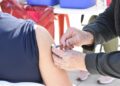 Se detectaron 601 casos de COVID-19 en la provincia