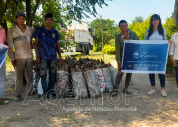 Paipperos de Colonia La Primavera producen 11 mil kilos de productos para el Plan Nutrir