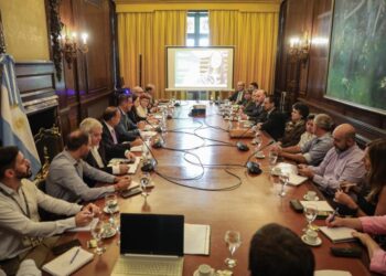 Formosa sigue de cerca los estudios y las alternativas para la interconexión internacional del Puente Pilar-Colonia Cano