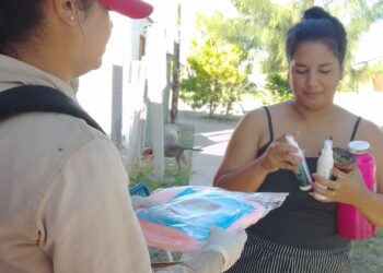 Explicaron cómo puede afectar el dengue si no se trata adecuadamente y alentaron a no minimizar los síntomas