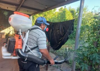 Dengue: En la última semana diagnosticaron 836 casos positivos