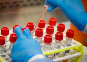 Detectaron en la provincia la circulación de la subvariante COVID JN.1