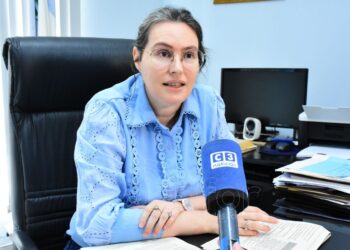 Energía eléctrica: “La Resolución 7/24 es una norma nacional donde la provincia de Formosa no tiene injerencia”