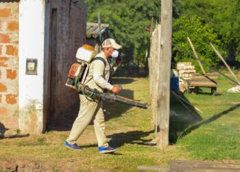 En el interior siguen sin pausa las acciones contra el dengue