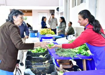 Otro viernes con exitosas ventas en las ferias del PAIPPA