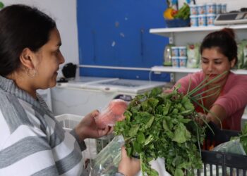 Coordinaron acciones entre áreas de la cadena productiva para garantizar el abastecimiento al Plan Nutrir