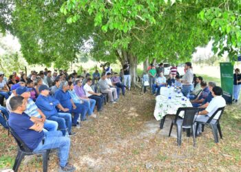 Satisfacción de pequeños productores tomateros por el continuo acompañamiento que brinda el Gobierno provincial