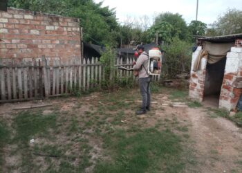Dengue: La semana pasada 748 familias negaron el ingreso a la brigada sanitaria