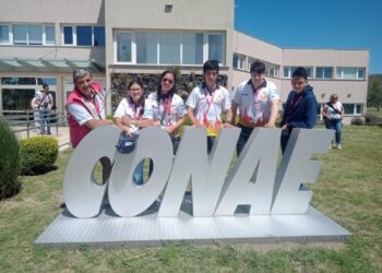 “No es la línea del recorte salvaje en ciencia y tecnología lo que salvará al país”, opinó docente