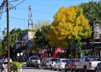 El tarifazo eléctrico de Milei “le pega muy fuerte a todo tipo de usuario”