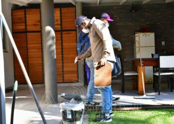 Dengue: Reiteran las recomendaciones para evitar los criaderos de mosquitos