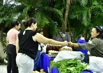Se reanuda la feria paippera móvil de los días miércoles