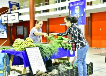 Vecinos concurrieron a las ferias del PAIPPA buscando buenos precios
