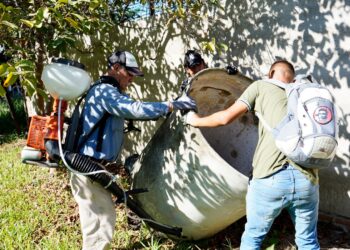 Recomiendan no relajar las medidas sanitarias en el combate contra el dengue