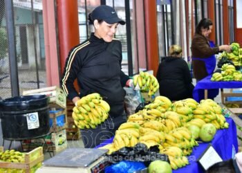En el inicio de mayo, fueron buenas las ventas en las ferias del PAIPPA