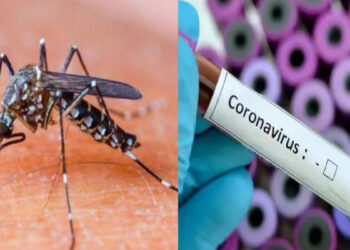 Merced al trabajo interinstitucional, siguen en descenso los casos de dengue y COVID-19 en Formosa