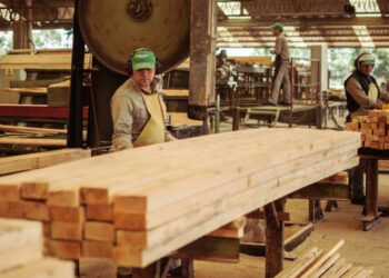 Preocupación de la Unión Industrial de Formosa por el RIGI