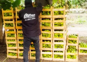 Compra directa a productores aborígenes de colonia La Primavera para el Plan Nutrir