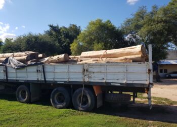 Se secuestraron 60 toneladas de palo santo y dos camiones con presunta documentación falsificada en Las Lomitas
