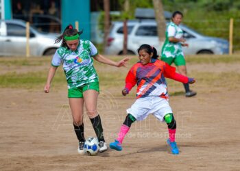 “La Copa Gildo Insfrán nos da fortalecimiento, contacto y amistad entre la comunidad”, valoraron