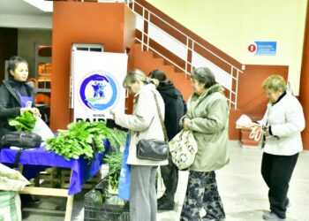 Buenas ventas en las ferias paipperas de los viernes