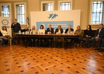 Diputados nacionales reprimidos denunciaron penalmente a Bullrich y otros funcionarios de su Ministerio