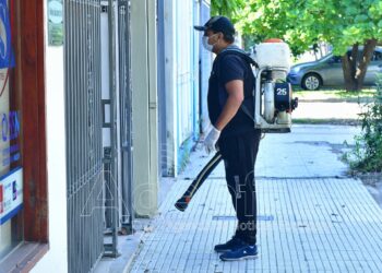 Dengue: Los casos positivos se mantuvieron en la última semana dentro de las cifras esperadas en esta época