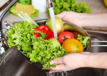 7 de junio: Día Mundial de la Inocuidad de los Alimentos