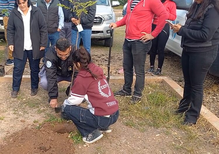 Plantación de árboles por el Día del Medio Ambiente