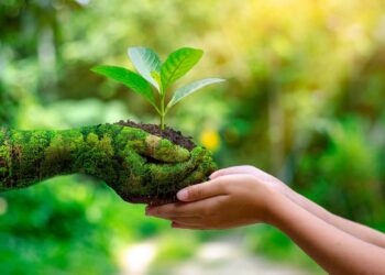Por el Día Mundial del Medio Ambiente realizarán jornada de concientización en el Bañado La Estrella